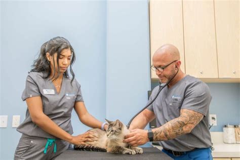 village vet carlsbad|The Best 10 Veterinarians near Carlsbad Village, Carlsbad, CA.